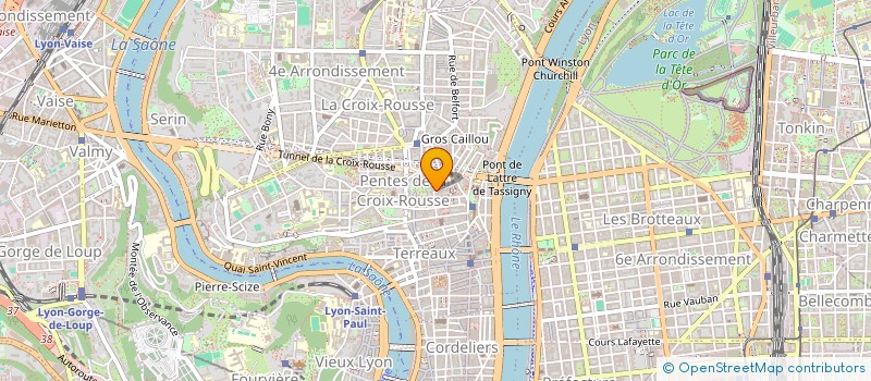 localisation de l'entreprise MADAME ANNE BALLESTRACCI à LYON