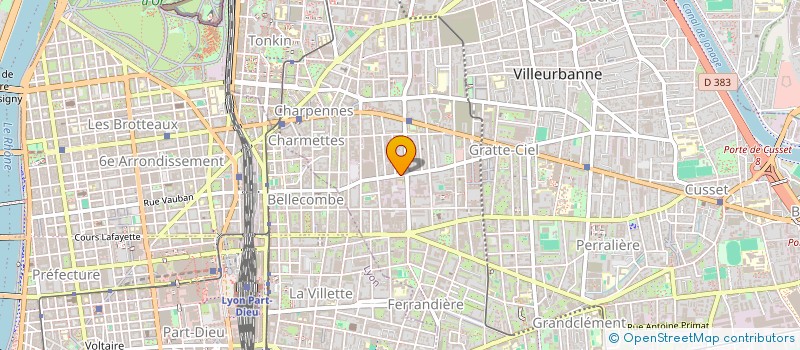 localisation de l'entreprise MADAME ANNE BELAMIE  VILLEURBANNE