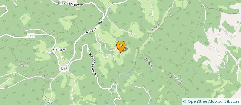 localisation de l'entreprise MADAME ANNE BENASSOULI  PEYZAC-LE-MOUSTIER