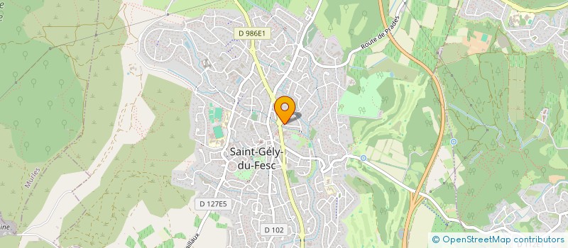 localisation de l'entreprise MADAME ANNE BENVENISTE  SAINT-GELY-DU-FESC