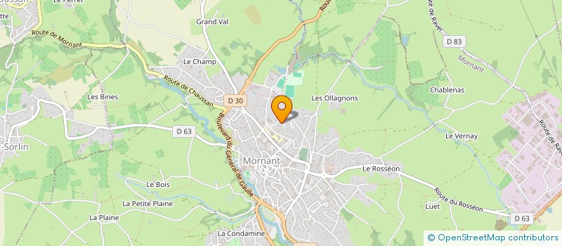 localisation de l'entreprise MADAME ANNE BULTEAU à MORNANT