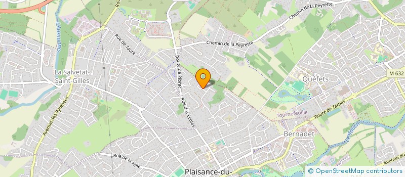 localisation de l'entreprise MADAME ANNE-CATHRIN GURKE  PLAISANCE-DU-TOUCH