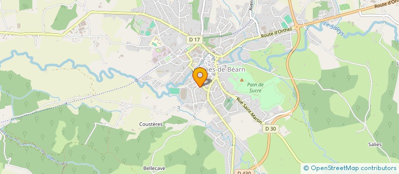 localisation de l'entreprise MADAME ANNE CHAN NAM à SALIES-DE-BEARN