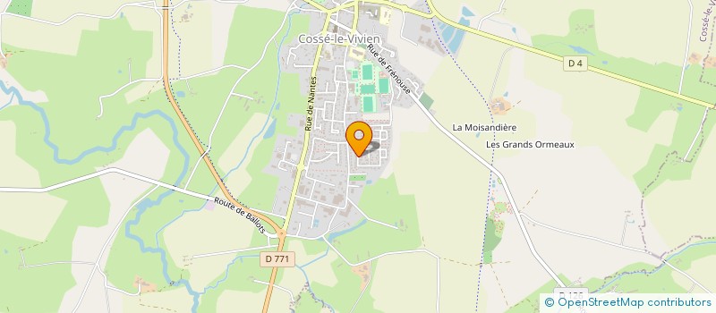 localisation de l'entreprise MADAME ANNE CHOHIN  COSSE-LE-VIVIEN