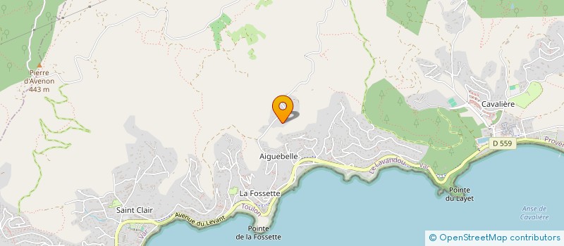 localisation de l'entreprise MADAME ANNE CLAIRE DOUCHANT à LE LAVANDOU