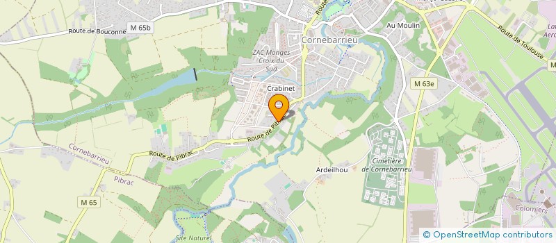 localisation de l'entreprise MADAME ANNE COLINET  CORNEBARRIEU