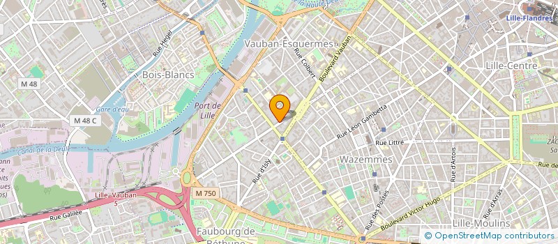 localisation de l'entreprise MADAME ANNE CONSTANCE LE BAGOUSSE à LILLE