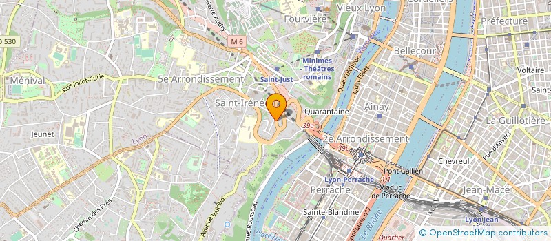 localisation de l'entreprise MADAME ANNE DELEPIERRE à LYON 5EME