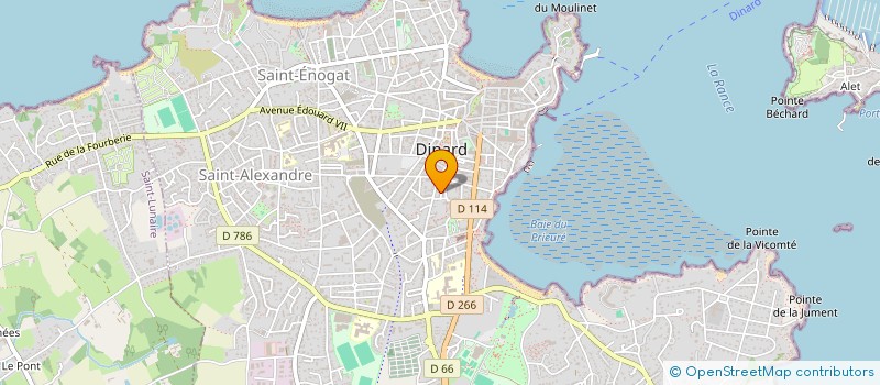 localisation de l'entreprise MADAME ANNE DELESALLE  DINARD