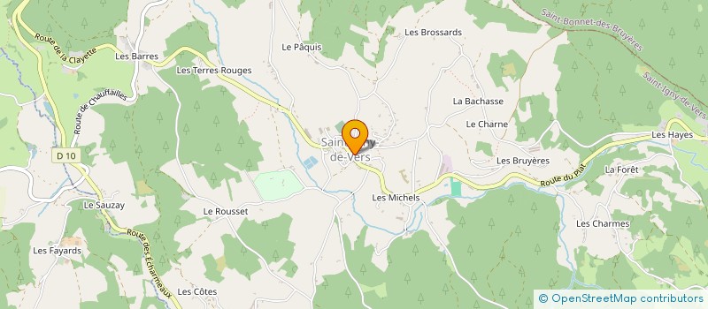 localisation de l'entreprise MADAME ANNE DESPLACE à SAINT BONNET DES BRUYERES