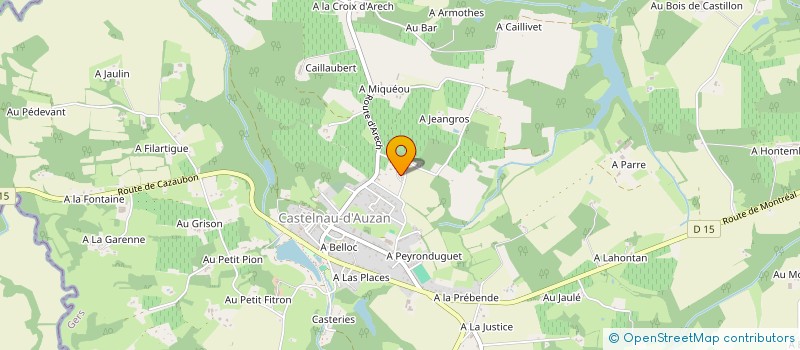 localisation de l'entreprise MADAME ANNE DIVORNE  CASTELNAU D'AUZAN LABARRERE