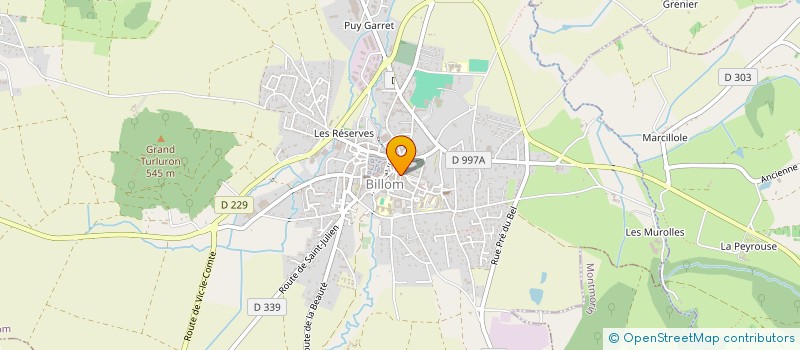 localisation de l'entreprise MADAME ANNE DUZELIER  BILLOM