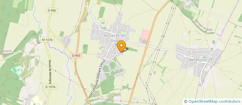 localisation de l'entreprise MADAME ANNE-ELISABETH JAUSIONS  ASNIERES-LES-DIJON