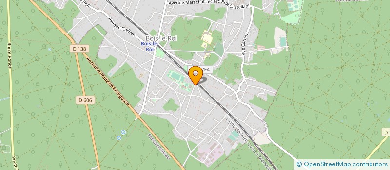 localisation de l'entreprise MADAME ANNE-ELISABETH TRAVAILLOT  BOIS LE ROI