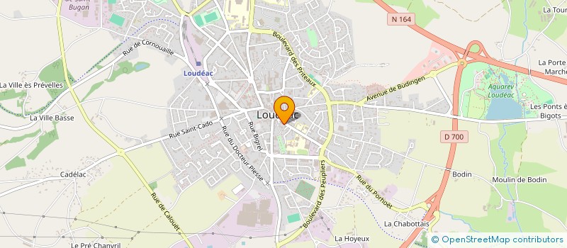 localisation de l'entreprise MADAME ANNE ELISE LE BLAY à LOUDEAC