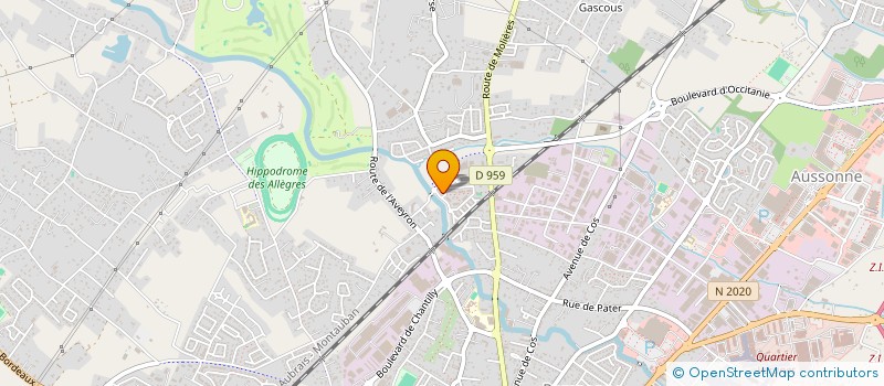 localisation de l'entreprise MADAME ANNE-FLEUR CHOLVIN  MONTAUBAN