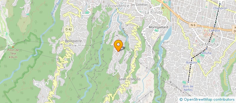 localisation de l'entreprise MADAME ANNE-FLORE ZILA  SAINT-DENIS