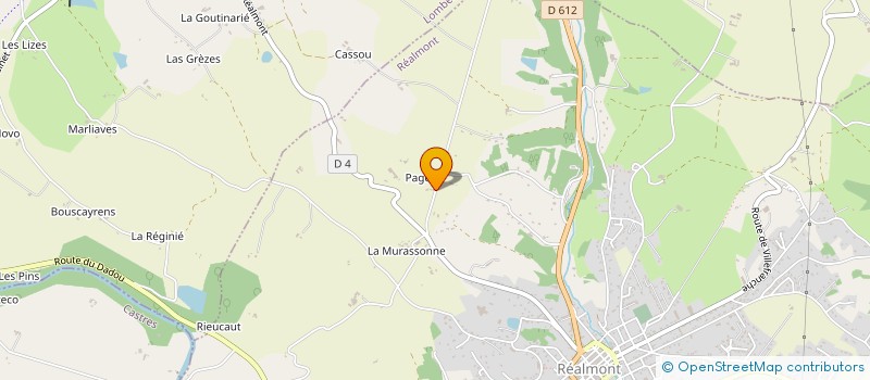 localisation de l'entreprise MADAME ANNE GOUJON  REALMONT