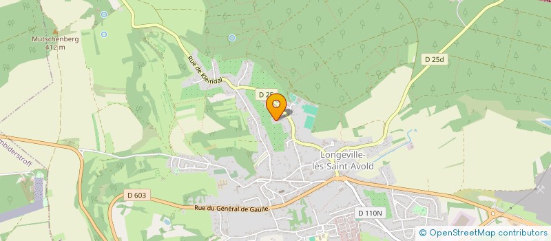 localisation de l'entreprise MADAME ANNE GOZDALSKI  LONGEVILLE-LES-SAINT-AVOLD