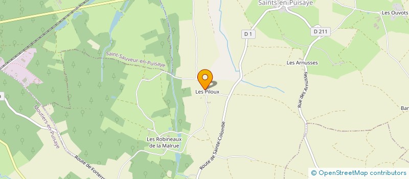 localisation de l'entreprise MADAME ANNE GUILLAUME à SAINTS-EN-PUISAYE