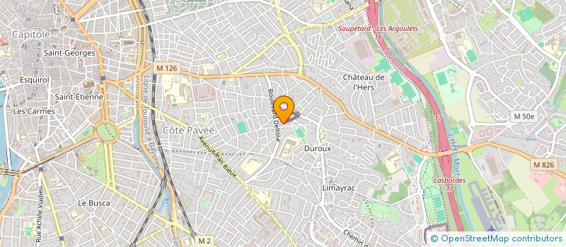 localisation de l'entreprise MADAME ANNE HONTANG  TOULOUSE