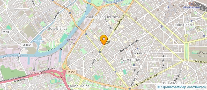 localisation de l'entreprise MADAME ANNE HOYAU  LILLE