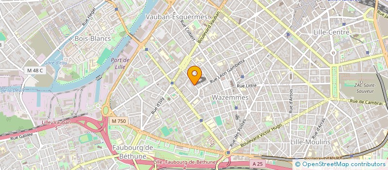 localisation de l'entreprise MADAME ANNE KYRIACOS  LILLE