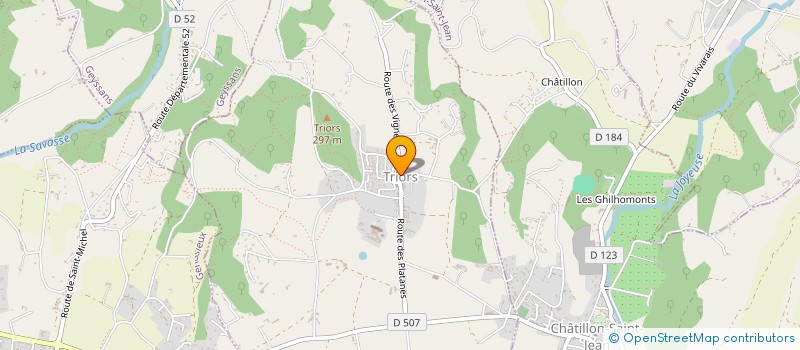 localisation de l'entreprise MADAME ANNE-LAURE COINDRE  TRIORS