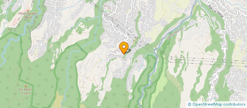 localisation de l'entreprise MADAME ANNE-LAURE PAYET  SAINT-DENIS