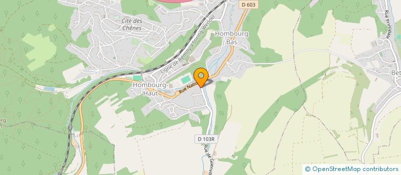 localisation de l'entreprise MADAME ANNE-LAURE WACHTER  HOMBOURG-HAUT