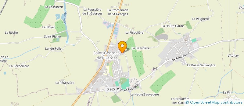 localisation de l'entreprise MADAME ANNE LE SON  CHEMILLE-EN-ANJOU