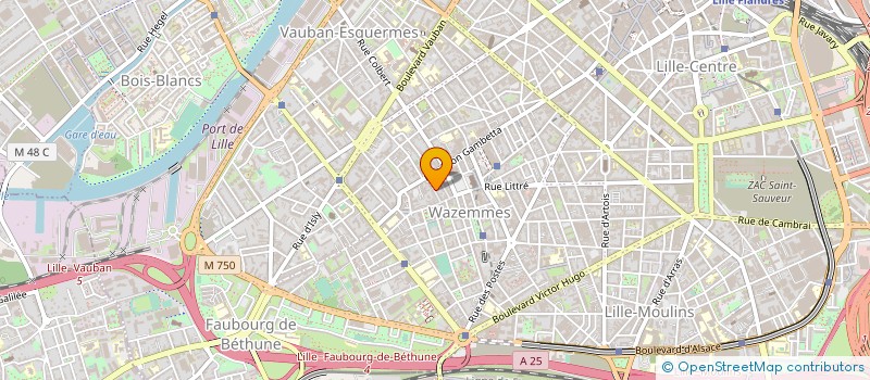 localisation de l'entreprise MADAME ANNE LEFEBVRES à LILLE