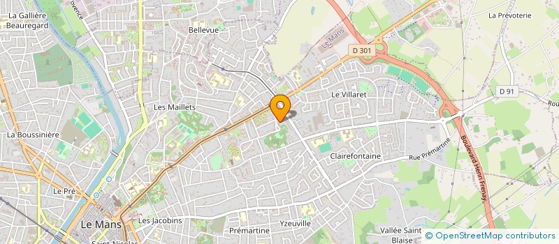 localisation de l'entreprise MADAME ANNE LEMASSON à LE MANS