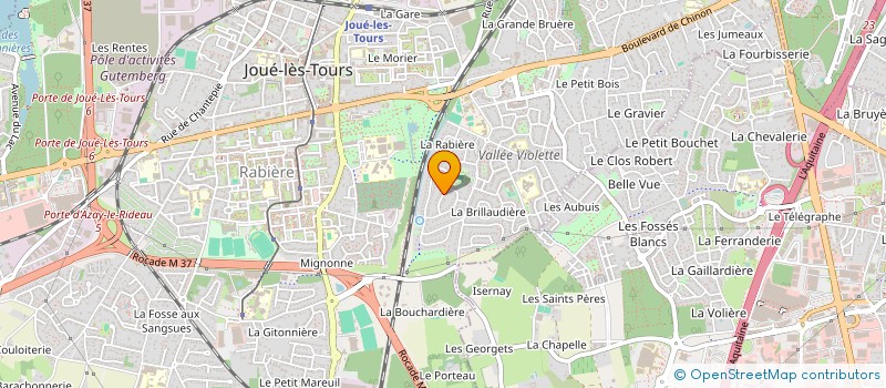 localisation de l'entreprise MADAME ANNE LINASSI  JOUE-LES-TOURS