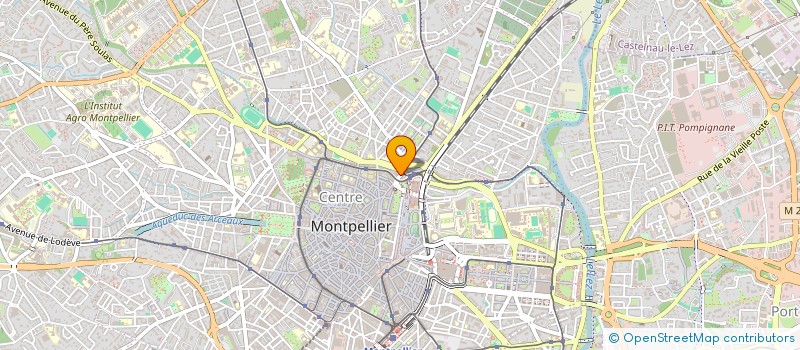 localisation de l'entreprise MADAME ANNE-LOU REGNOUX à MONTPELLIER