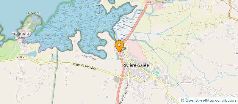 localisation de l'entreprise MADAME ANNE LOUIS-JEAN à RIVIERE-SALEE