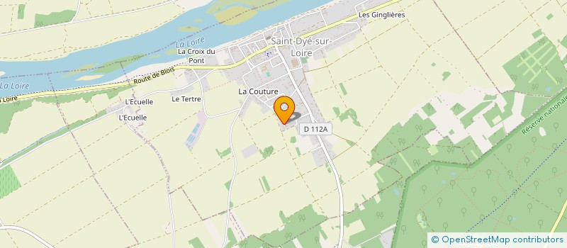 localisation de l'entreprise MADAME ANNE LUTUN  SAINT-DYE-SUR-LOIRE