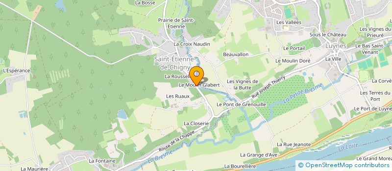 localisation de l'entreprise MADAME ANNE-MARIE BERTHAULT à SAINT-ETIENNE-DE-CHIGNY