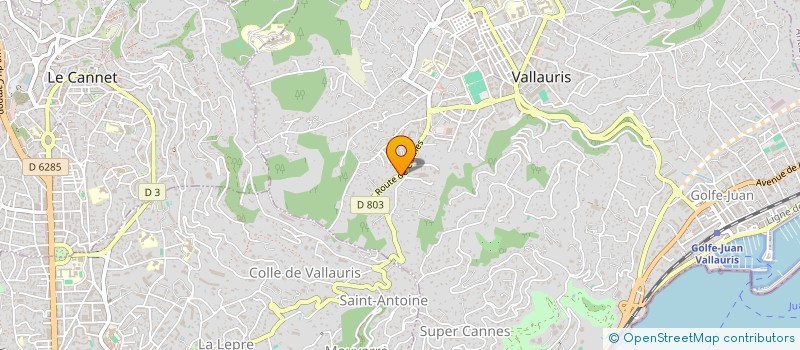 localisation de l'entreprise MADAME ANNE-MARIE BINET à VALLAURIS