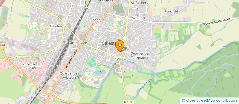 localisation de l'entreprise MADAME ANNE MARIE BIRCKEL  SELESTAT