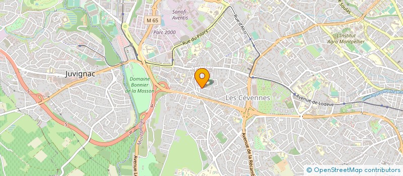 localisation de l'entreprise MADAME ANNE-MARIE BRAUJOU  MONTPELLIER