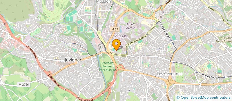 localisation de l'entreprise MADAME ANNE-MARIE DAMESTOY  MONTPELLIER