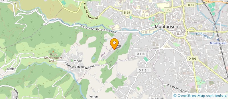 localisation de l'entreprise MADAME ANNE-MARIE DEBRAIZE  MONTBRISON