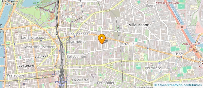 localisation de l'entreprise MADAME ANNE-MARIE DEYDIER  VILLEURBANNE