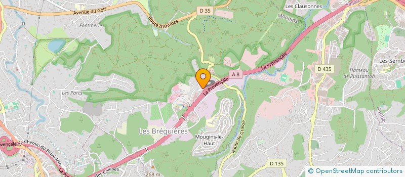 localisation de l'entreprise MADAME ANNE-MARIE DUBOIS  MOUGINS