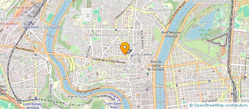 localisation de l'entreprise MADAME ANNE-MARIE INSERRA  LYON