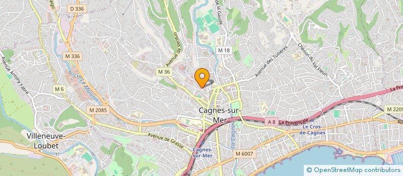 localisation de l'entreprise MADAME ANNE MARIE KOGAN  CAGNES-SUR-MER