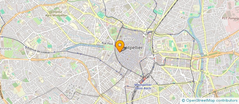 localisation de l'entreprise MADAME ANNE-MARIE LADOIRE à MONTPELLIER