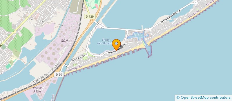 localisation de l'entreprise MADAME ANNE-MARIE MANDROU à FRONTIGNAN