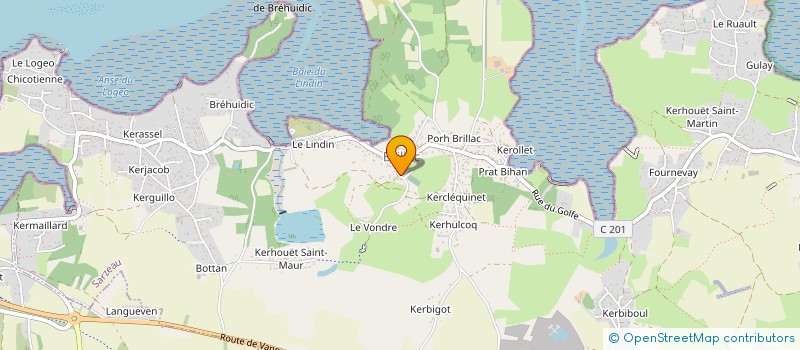 localisation de l'entreprise MADAME ANNE-MARIE MONARD  SARZEAU